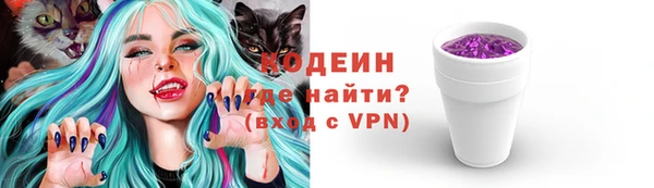 эйфоретик Карпинск