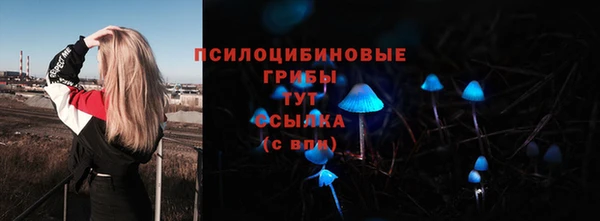 эйфоретик Карпинск