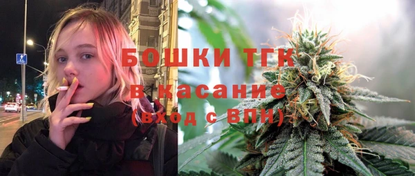 дурь Касимов
