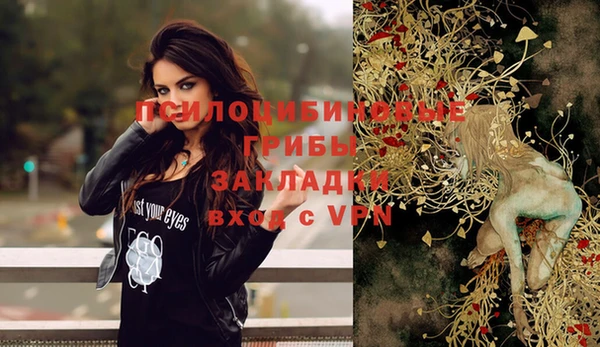 дурь Касимов