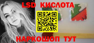 PSILOCYBIN Кандалакша