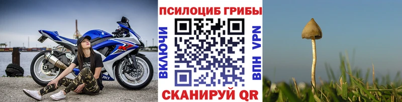 купить дарк нет официальный сайт Псилоцибиновые грибы GOLDEN TEACHER Хасавюрт