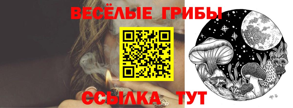 купить   Галлюциногенные грибы GOLDEN TEACHER  Псилоцибиновые грибы ЛСД  Вход с VPN  Хасавюрт 